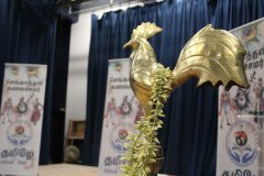 IMG_9020